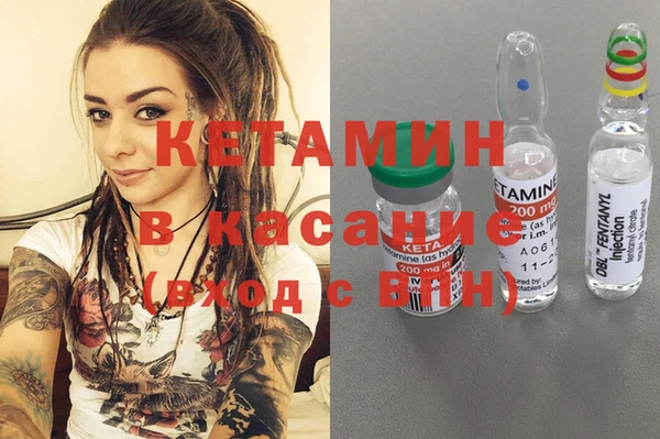 мет Алексин