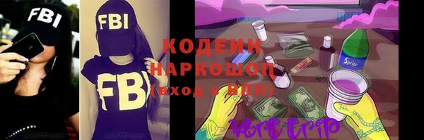 эйфоретик Алзамай