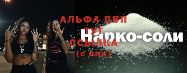 мет Алексин