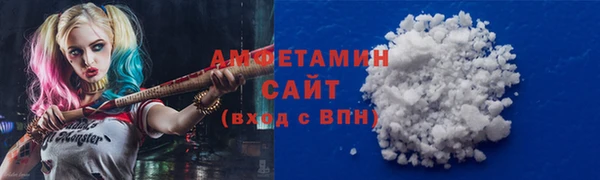 мет Алексин
