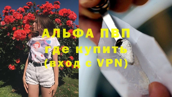 эйфоретик Алзамай