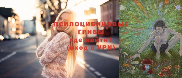 мет Алексин