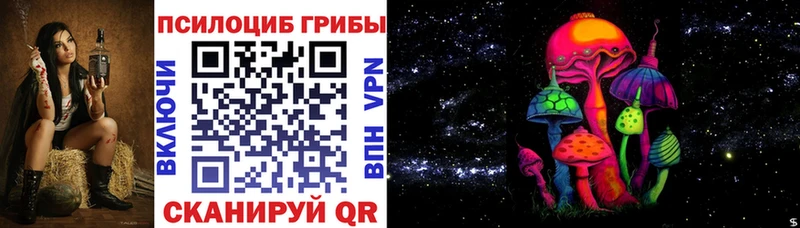 наркотики  Одинцово  Псилоцибиновые грибы Psilocybe 